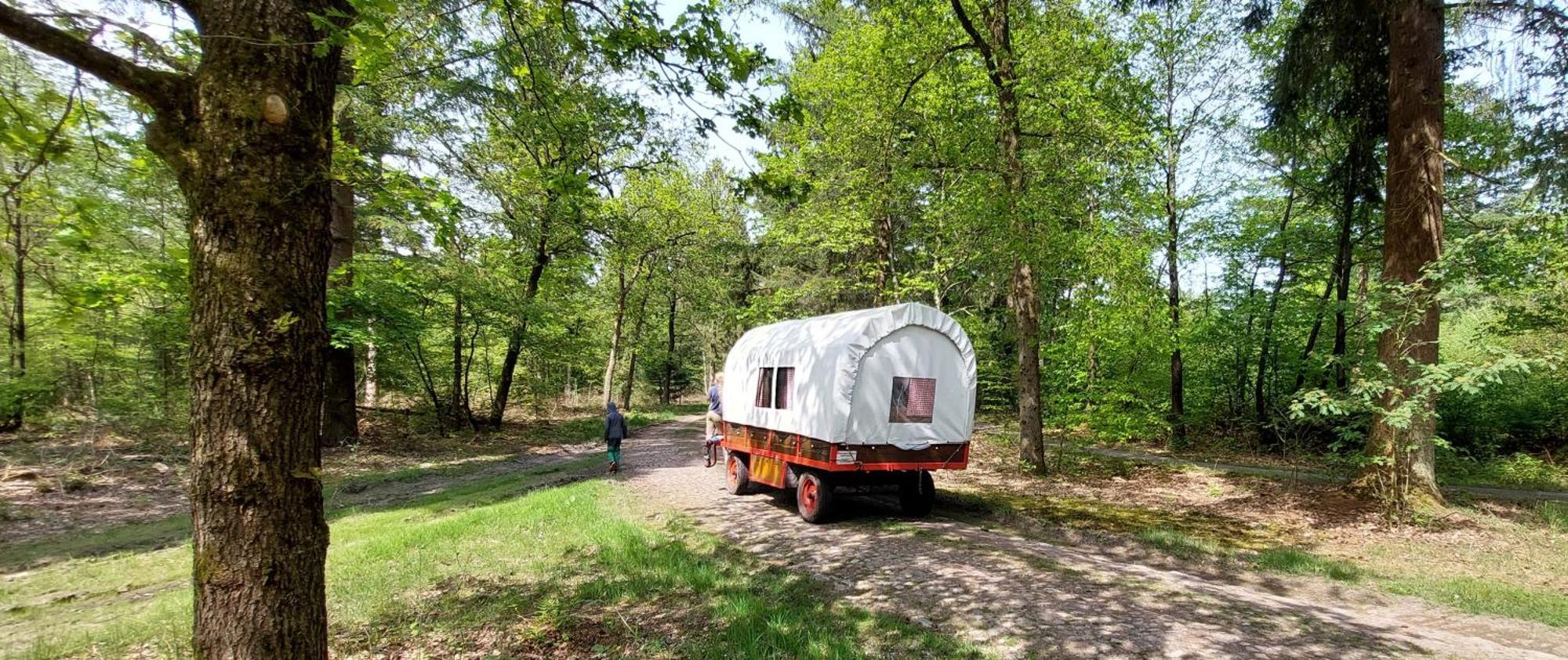 Mooi Drenthe Βίλα Wezuperbrug Εξωτερικό φωτογραφία